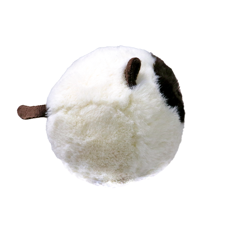 Sammy, , large