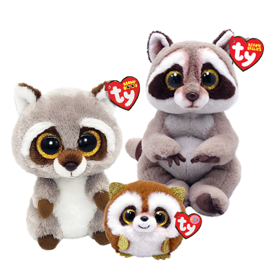 Raccoon Bundle