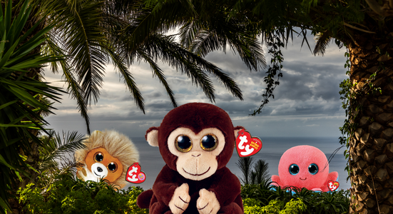 Three Beanies with ocean and wildlife background