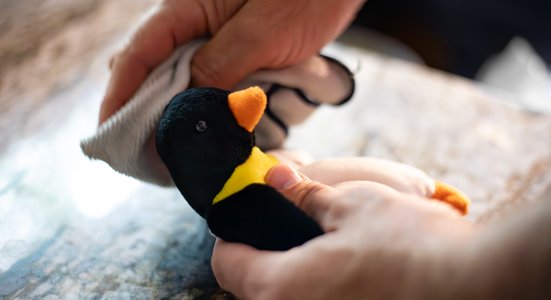 Cleaning vintage beanie baby