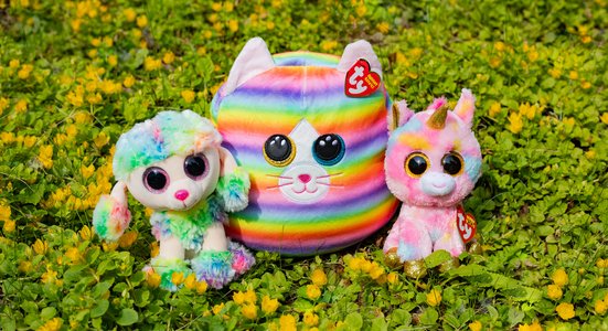 Three rainbow colored beanies in grass