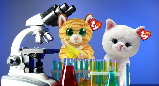Two cat stuffed animals with microscope