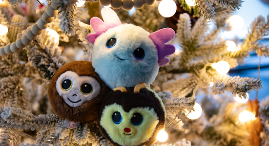 Three Beanie Bouncers on a Christmas tree