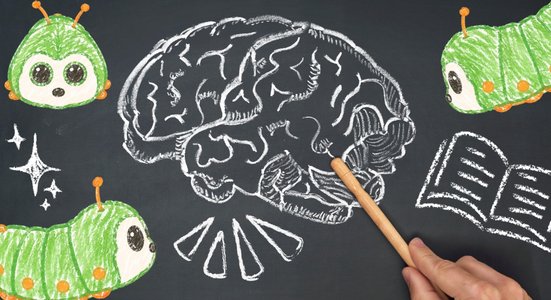 Stuffed Animal Psychology