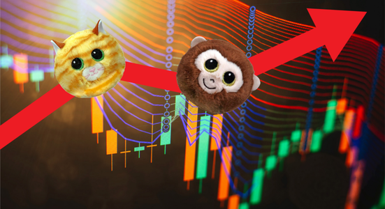 Plush Toy Trends