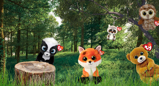 Beanies in a woodland background