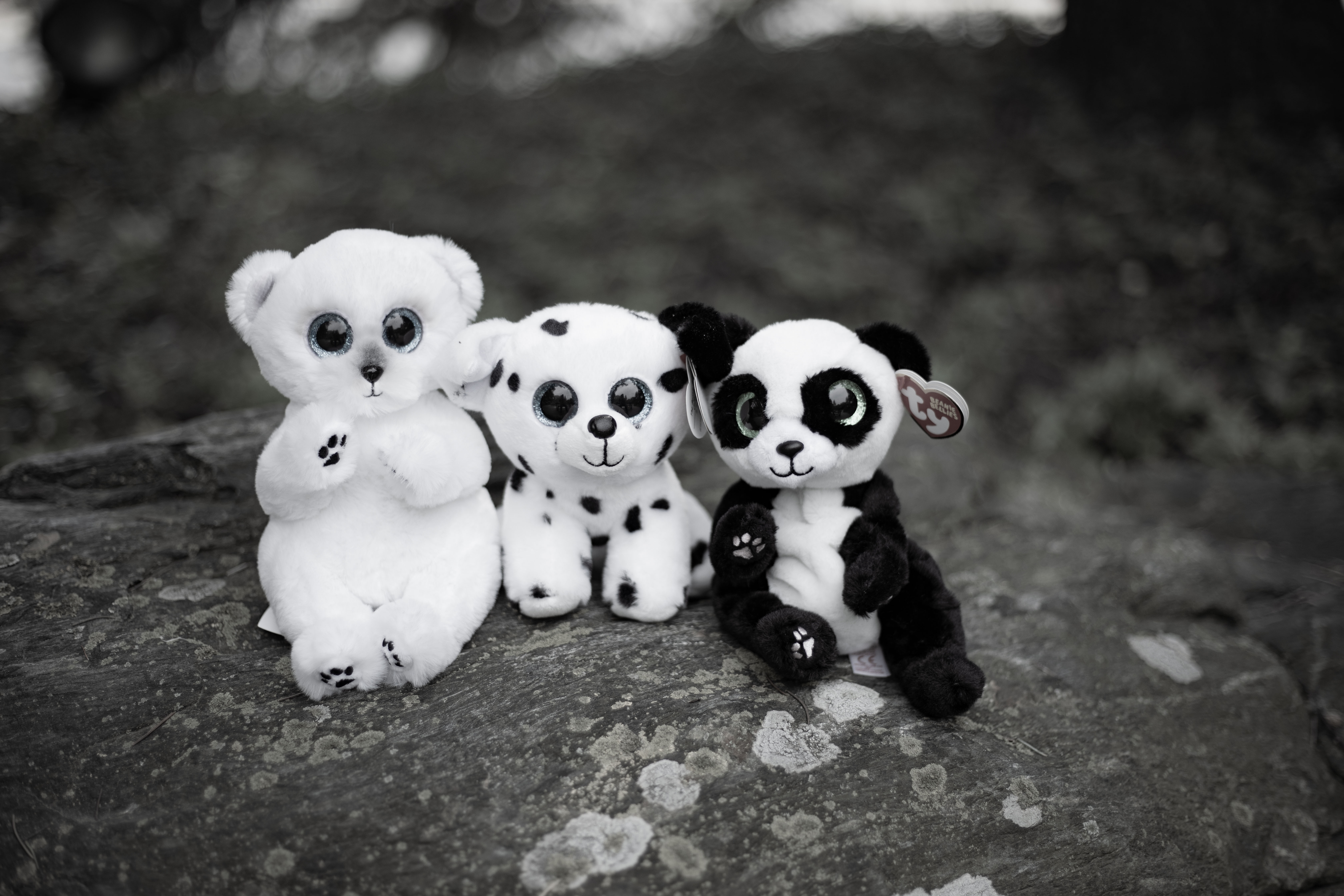 Black and white beanies in grayscale