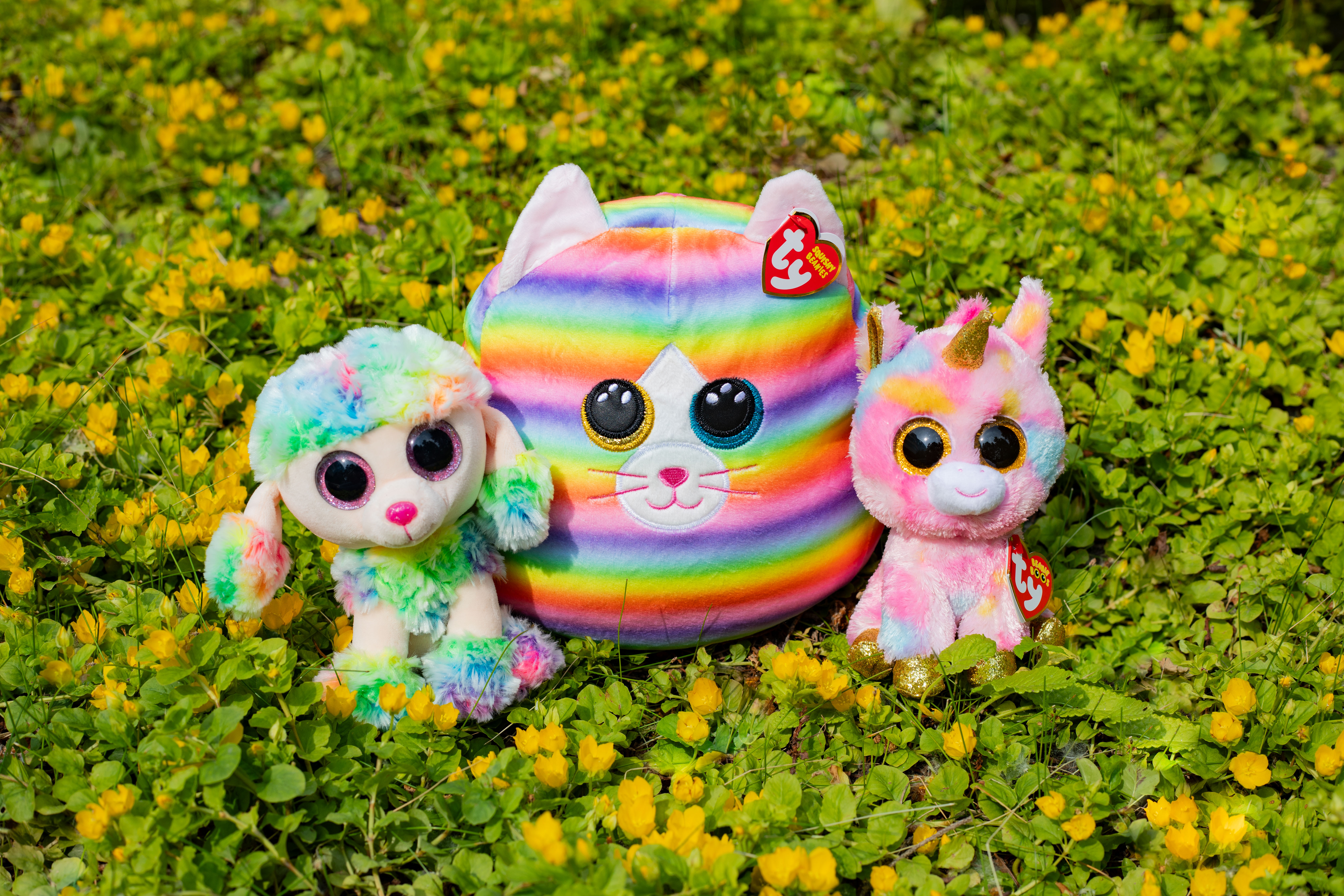 Three rainbow colored beanies in grass