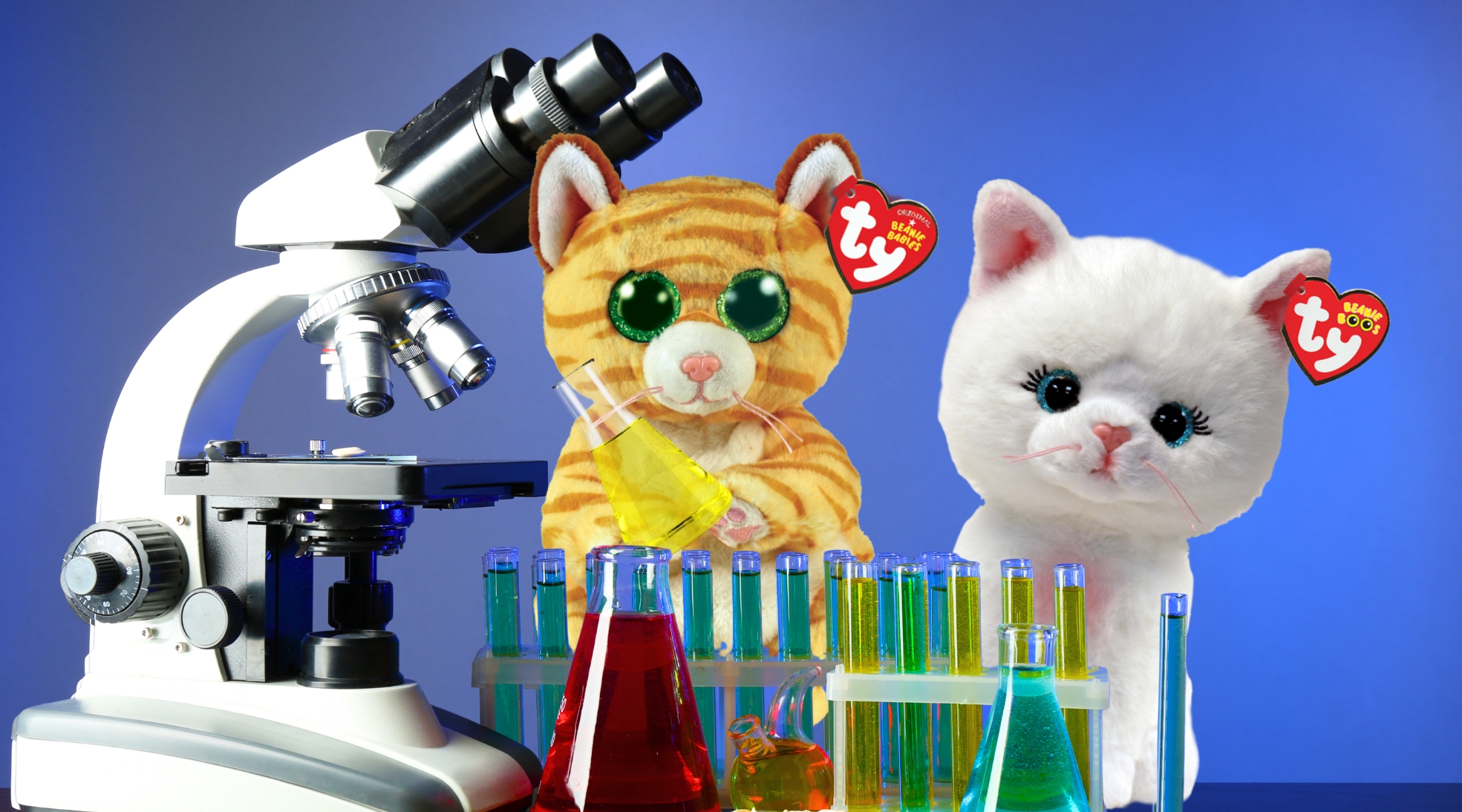 Two cat stuffed animals with microscope