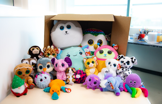 Large variety of beanies in a box