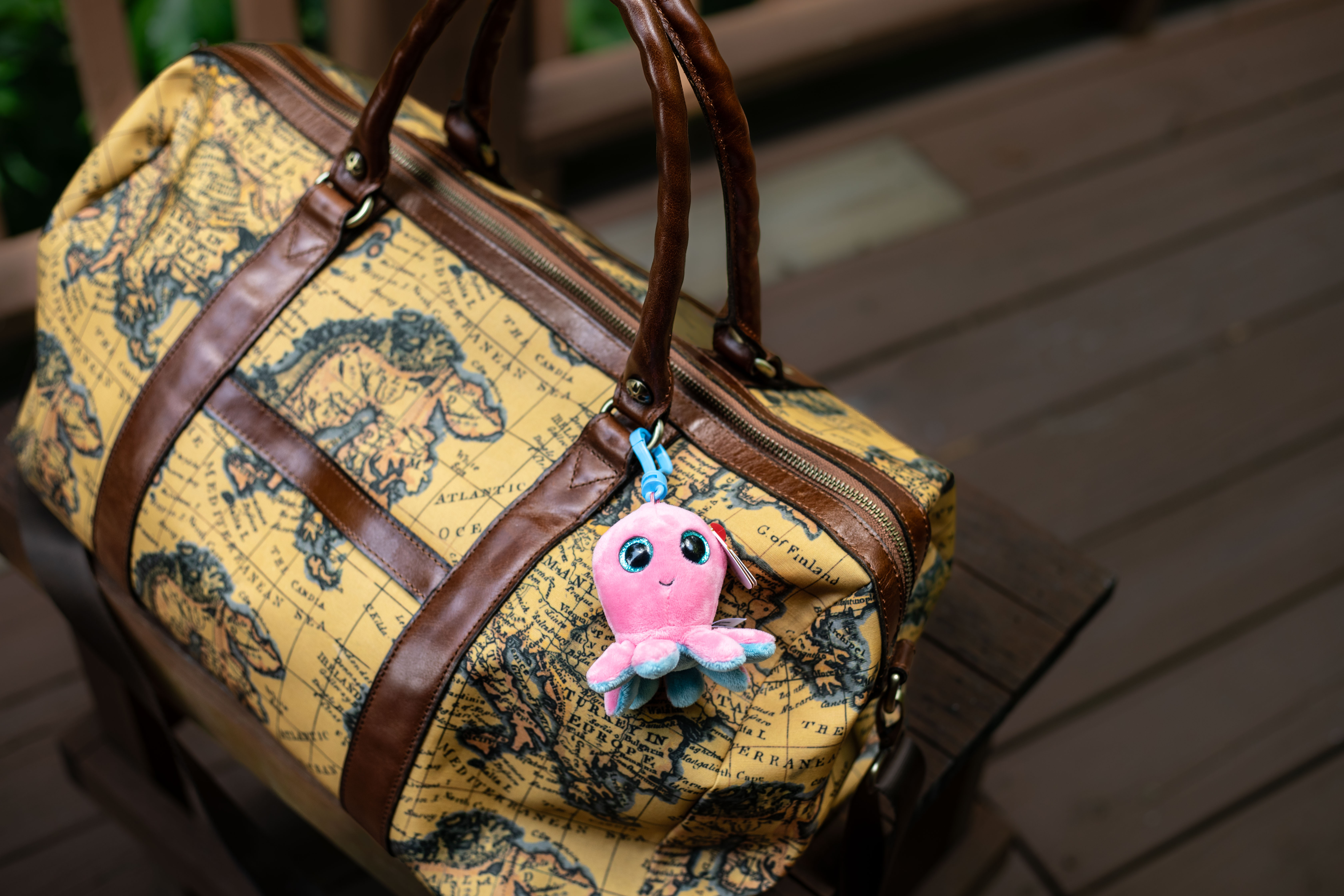 Sheldon clip clipped on a travel bag with a map on it